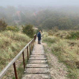 Thea van der veen
