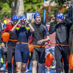 De zwemmende bosuilen